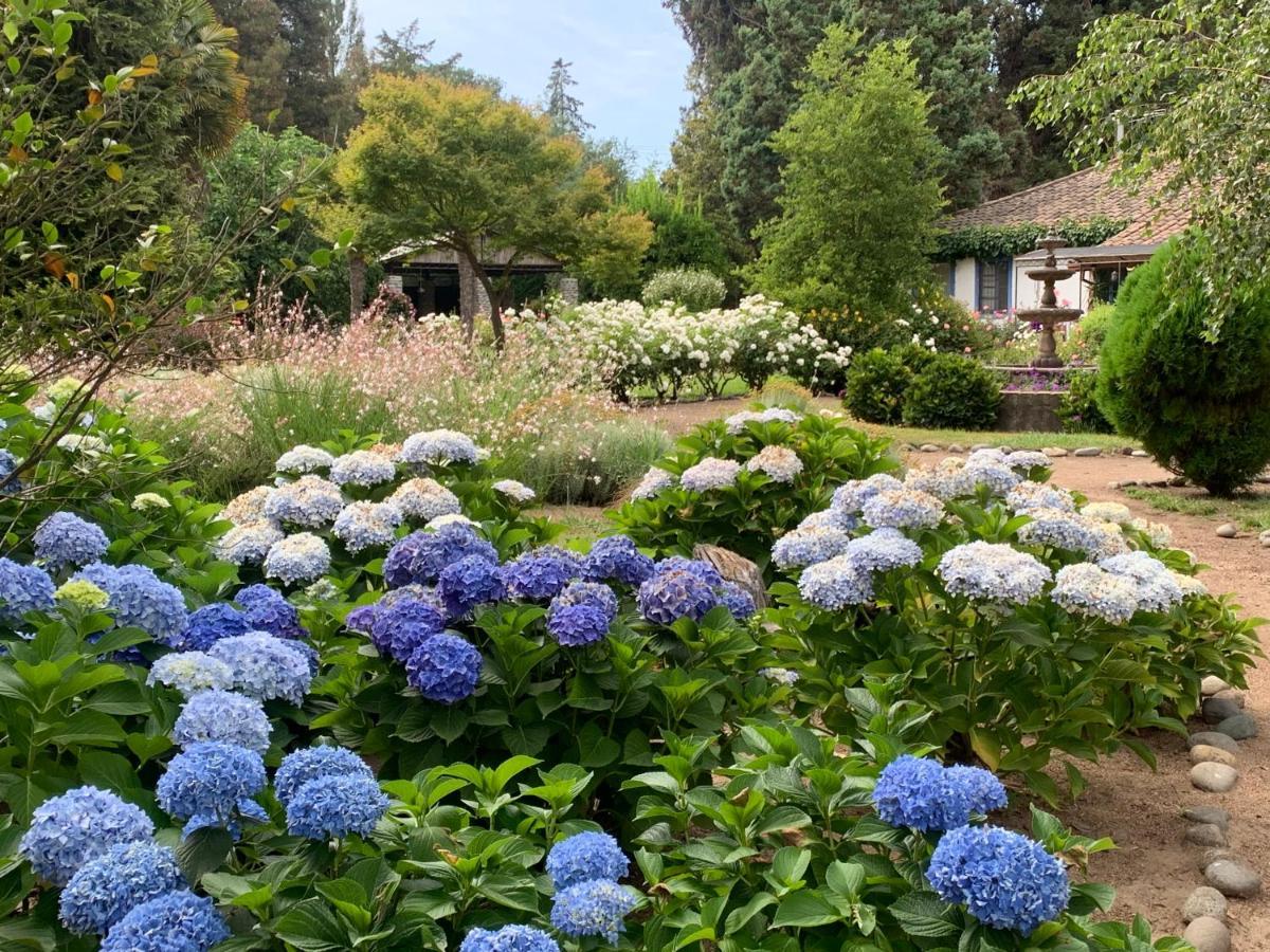 Bed & Breakfast ,Casa De Campo San Esteban,Linares Miraflores Dış mekan fotoğraf