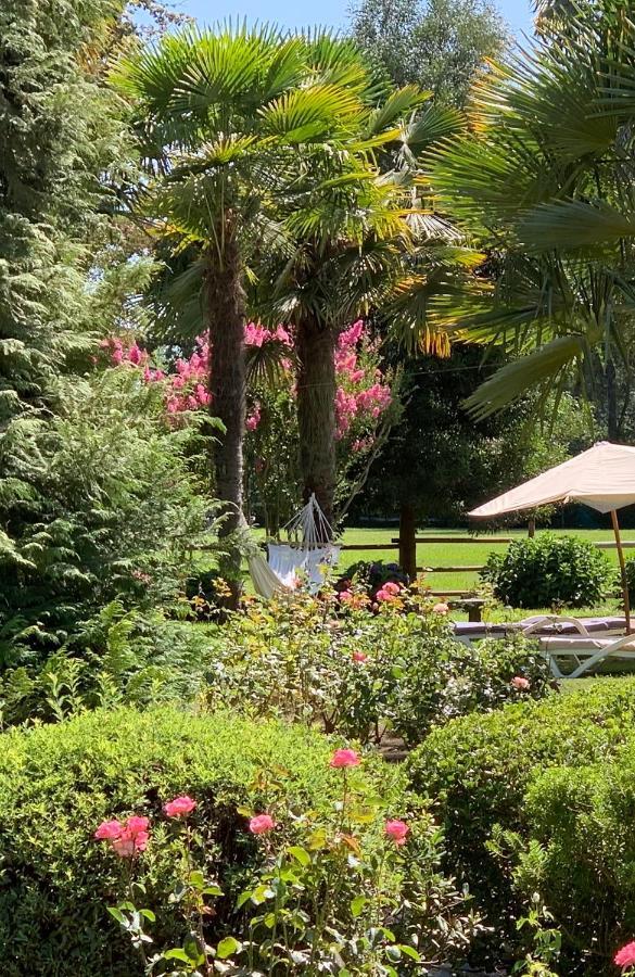 Bed & Breakfast ,Casa De Campo San Esteban,Linares Miraflores Dış mekan fotoğraf