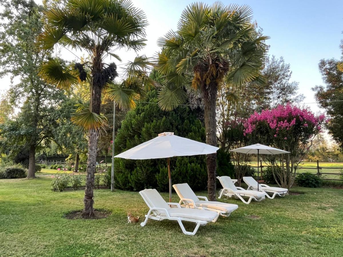 Bed & Breakfast ,Casa De Campo San Esteban,Linares Miraflores Dış mekan fotoğraf